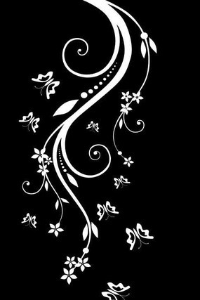 ���������ͼ�� CDR