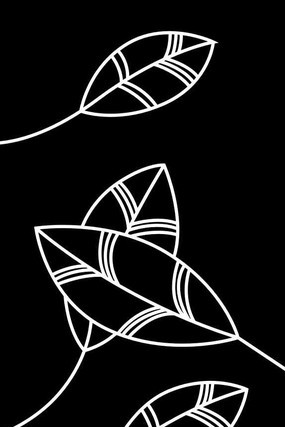 ��Ҷ���ͼ�� CDR