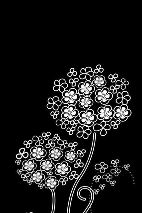 ������ò���ͼ��