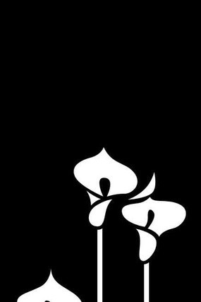 马蹄莲雕刻图案 马蹄莲雕刻图案