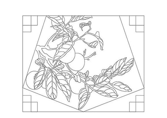 ����ͼ�������������