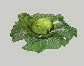 ����SUģ��