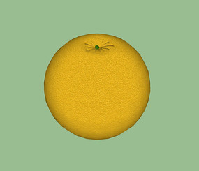 SUģ