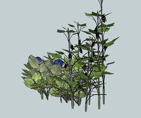 �߲˴�������SUģ��