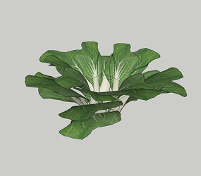 �㹽��SUģ��