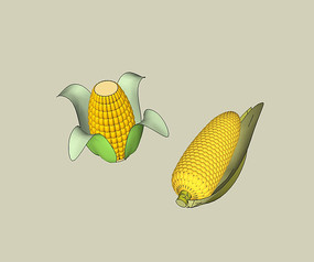 SUģ