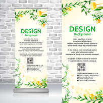 �����Ż��䱳��������