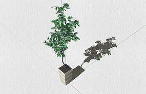 ���μ�Լ��ֲ��