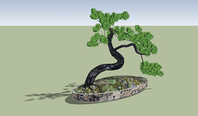 ��������ֲ����