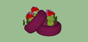 �Ϻ�ɫ��ֲ����