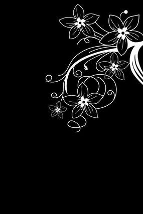 ���󻨵��ͼ�� CDR