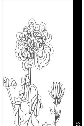 �ջ����ͼ�� CDR