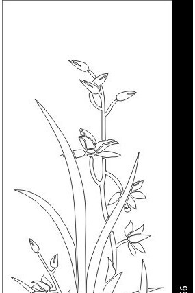 ������ͼ�� CDR