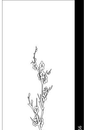 ÷����ӽ÷���ͼ�� CDR