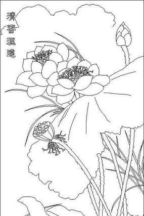 ����ɻ����ͼ��