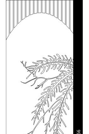 ��Ҷ���ͼ�� CDR