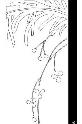 ֦Ҷ���ͼ��