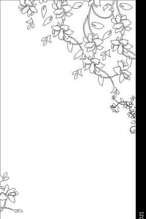 ������ͼ�� CDR