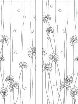 �ѹ�Ӣ���ͼ�� CDR