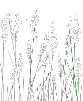 ����ͼ���ͼ�� CDR