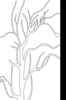 ��֦���ͼ�� CDR