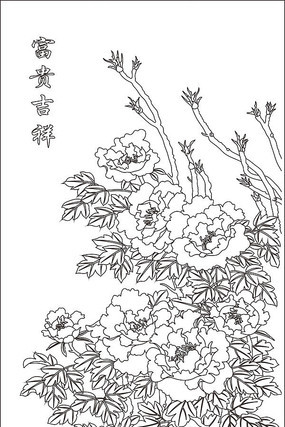 ��������ͼ�� CDR