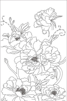 ���󻨿����ͼ�� CDR