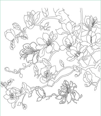 �������ͼ��