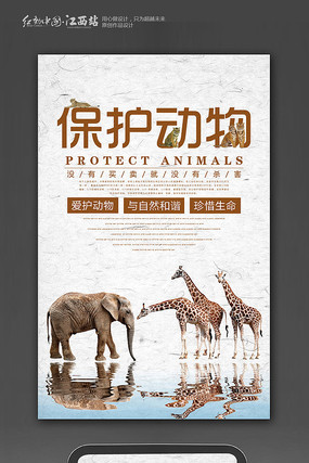 保护动物公益海报设计 保护动物公益海报设计
