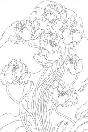 �ʻ����ͼ�� CDR