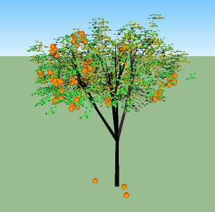 ����suģ�� skp