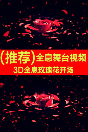 3DȫϢõ廨