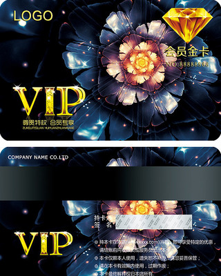 ����ԺVIP��