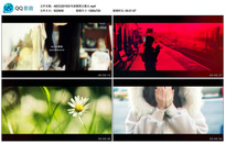 ��Ƶ������