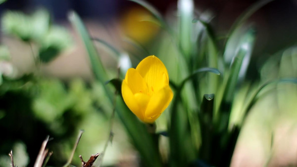 ������д����ʵ����Ƶ�ز�