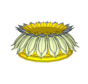 �ɻ�����SUģ��