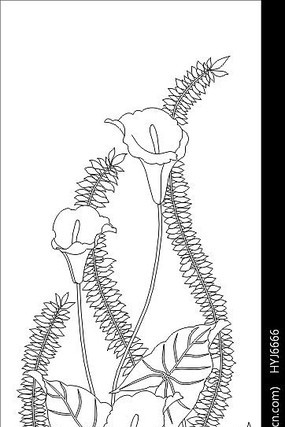 �����ͼ�� CDR