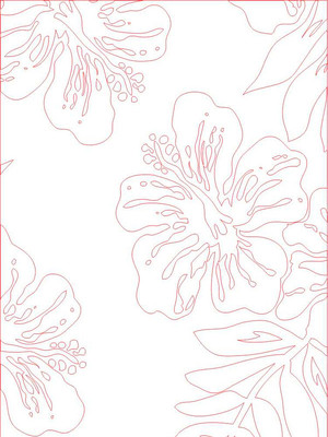 �򻨵��ͼ�� CDR