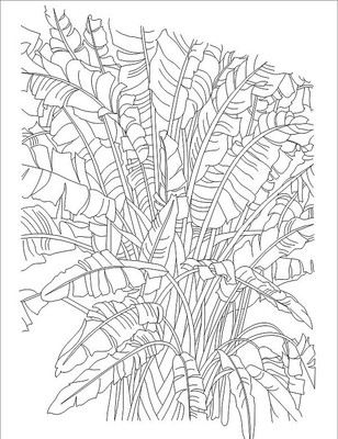 ��Ҷ���ͼ�� CDR