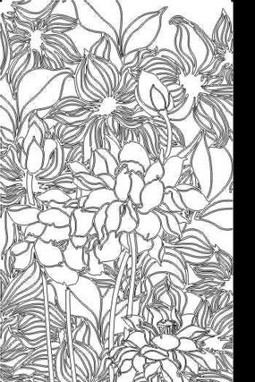 ������ͼ�� CDR