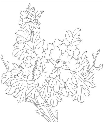 ĵ�����ͼ�� CDR