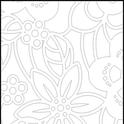 С�����ͼ�� CDR