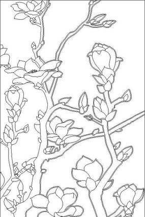 玉兰雕刻图案 玉兰雕刻图案