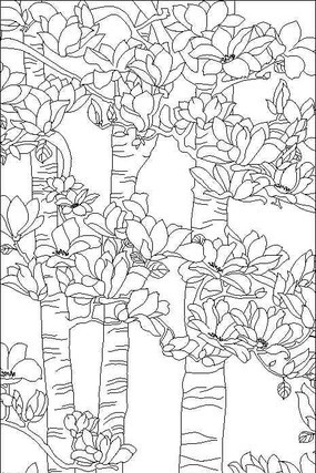 玉兰树雕刻图案 玉兰树雕刻图案