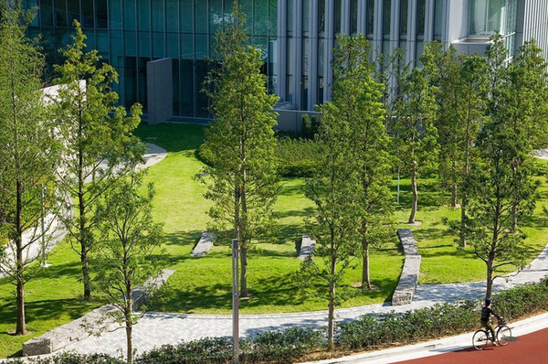 办公区绿地景观设计意向