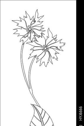 �������ͼ��