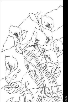 ��������ͼ��