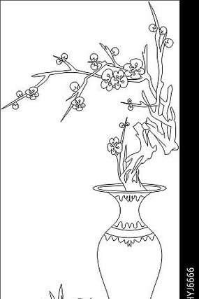 ��ƿ���ͼ�� CDR