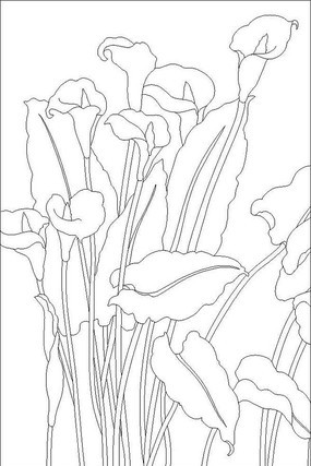 ��������ͼ��