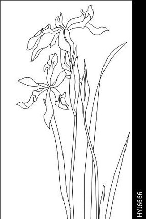 �������ͼ�� CDR